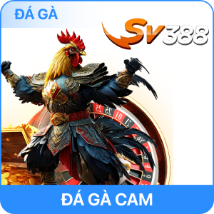 Đá Gà 78WIN